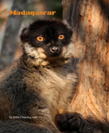 New Travel Book - Madagascar