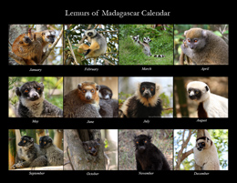 New 2016 Calendars