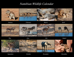 New 2016 Calendars