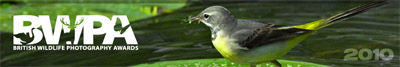 British Wildlife Photography Awards 2010