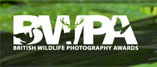 British Wildlife Photography Awards 2010