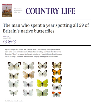 The UK Pieridae Butterfly Family