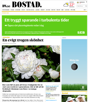 New Publication - Swedish Magazine 30/06/2012