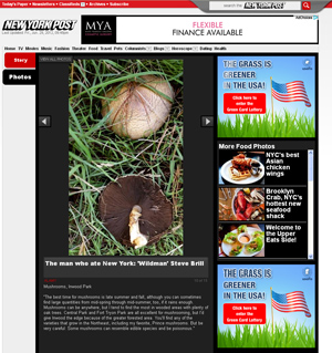 New York Post - Prince Mushroom