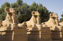 New Egypt Images